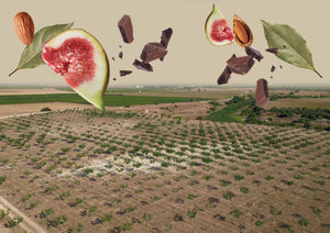 Agricoltura 4.0: Tecnologie Intelligenti per una Gestione Sostenibile delle Coltivazioni